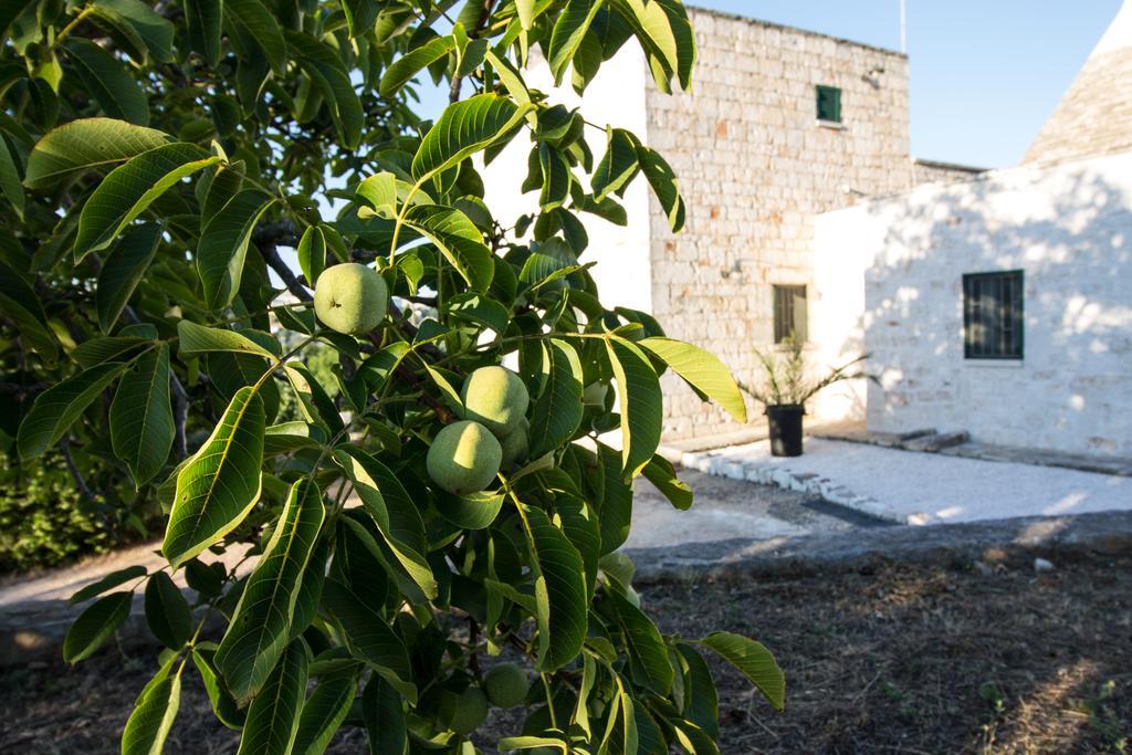 צ'יסטרנינו Maison Milleottocento מראה חיצוני תמונה