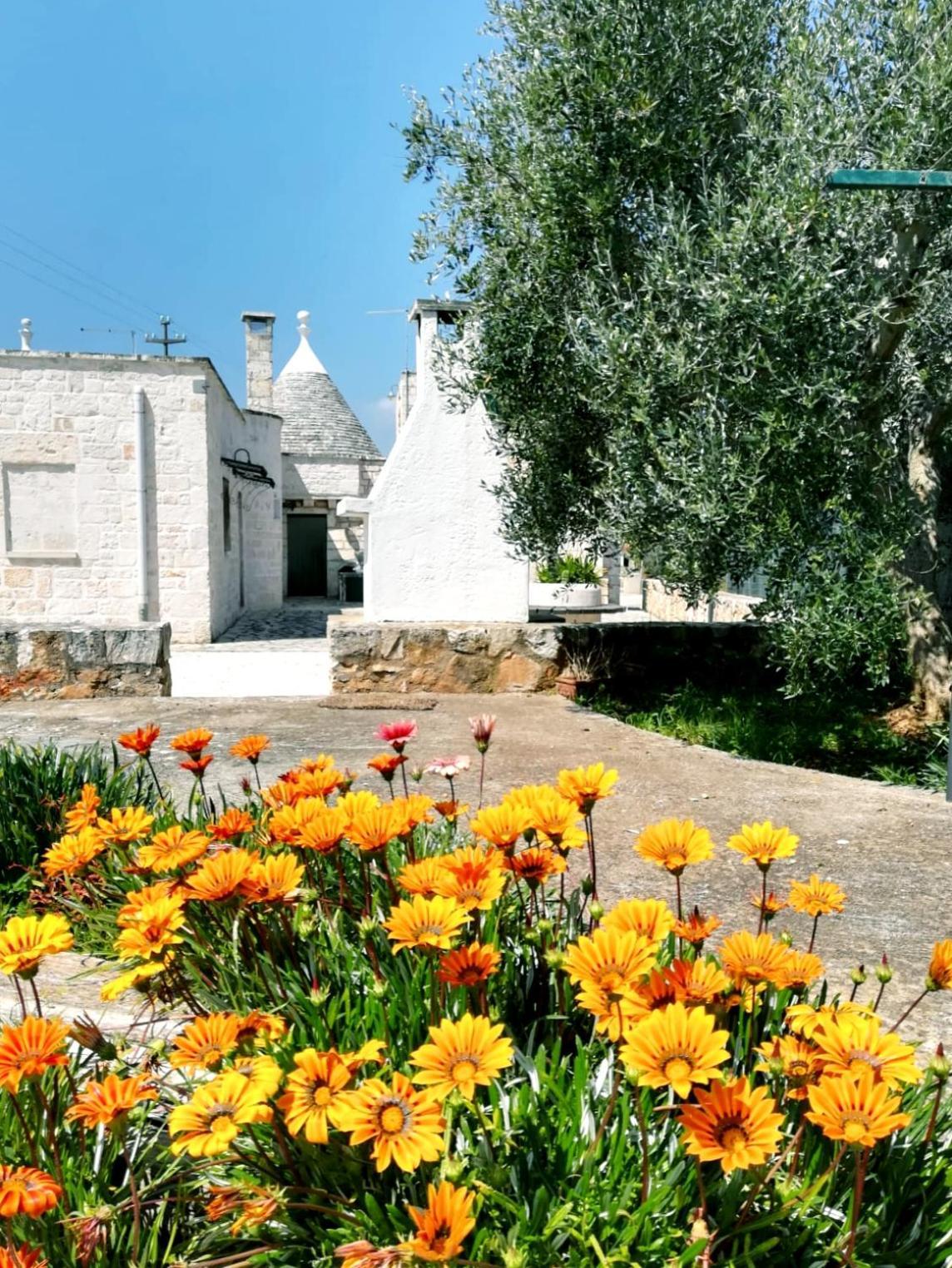 צ'יסטרנינו Maison Milleottocento מראה חיצוני תמונה
